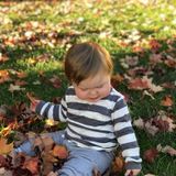Afternoon Nanny needed in the Exchange!