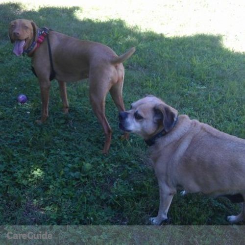 Pet Care Provider Krista Cognat's Profile Picture