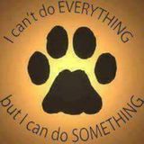 Quality Pet Care Available