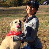 Caring and Responsible House/Animal Sitter