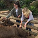 For Hire: Capable and Willing Dog Walker/Pet Sitter in North Carolina