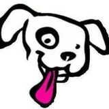 Bonded, licensed and insured Professional pet sitting