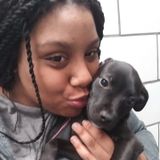 Pet sitter