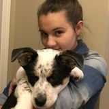 Dog or Cat care in Spruce Grove & Stony Plain,Alberta