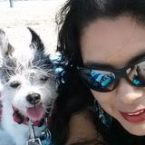 Great Animal Caregiver in Monterey Park