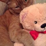 Loving Pet Sitting Professional in Debary
