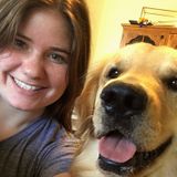 Honest Pet Care Provider in Warrenton