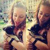 Interviewing For an Animal Lover Opportunity in Montreal