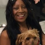 Available Trustworthy & Talented Home Sitter