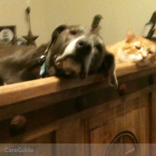 Pet Care Provider Rachel M's Profile Picture
