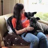 Kind Petsitter in Urbana, Illinois