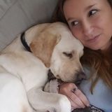 Interested In Somerville Animal Lover Jobs