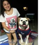 Animal Lover wants to care for your babies