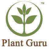 Plant Guru - Pure essential oils for Engineer