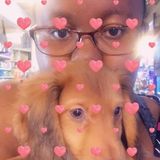 Stafford Petsitter Interested In Work in Virginia for the summer