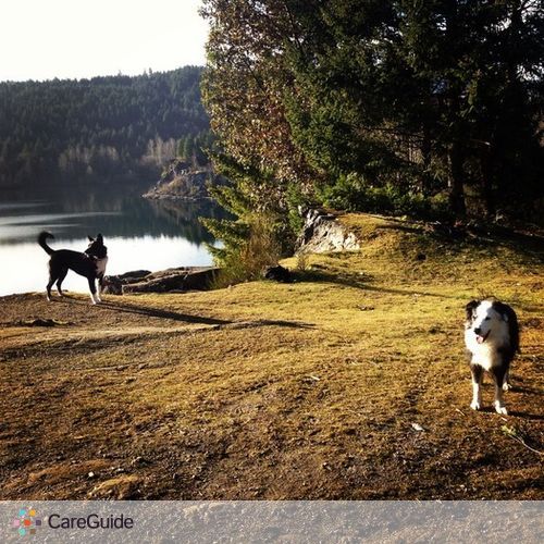 Pet Care Provider Charlotte M's Profile Picture