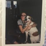 Animal lover in search of a pet sitting job in Flagstaff, Arizona