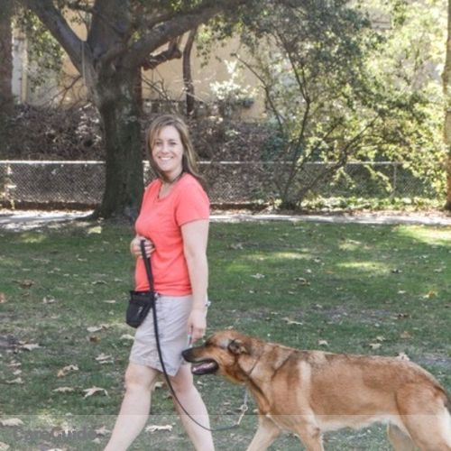 Pet Care Provider T. Rae K9 Training H's Profile Picture