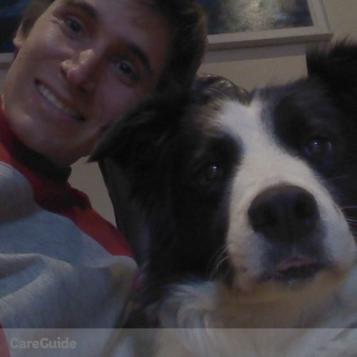 Pet Care Provider Tomás D's Profile Picture
