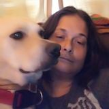Available: Dedicated Pet Care Provider in Paragould