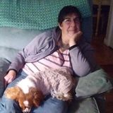 Searching for part-time Las Vegas Dog Sitting Professional Jobs