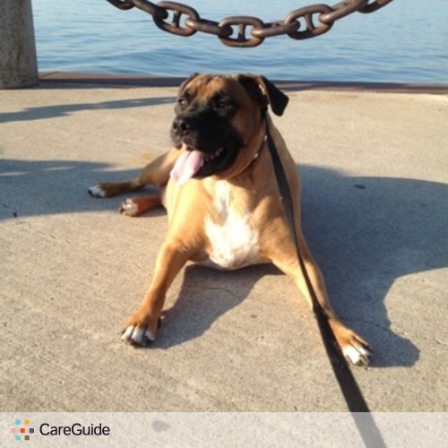 Pet Care Provider Andrea Bethel's Profile Picture