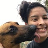 For Hire: Passionate Pet Sitter in Kingsville, Texas
