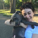 Dedicated Pet Sitter and dog walker in Saratoga Springs, New York