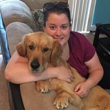 Dog Walking/Pet Sitting in Your Home