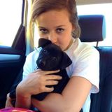 Animal Lover and Experienced Pet Care Provider Available this Summer