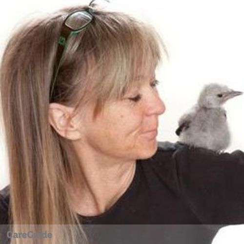 House Sitter Provider Mona M's Profile Picture