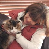Brantford, Ontario Elderly Support Worker