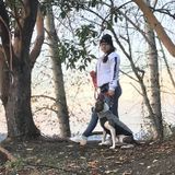 Lakewood House Sitter Looking For Work in Washington