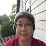 Elgin Housesitter Available For Being Hired