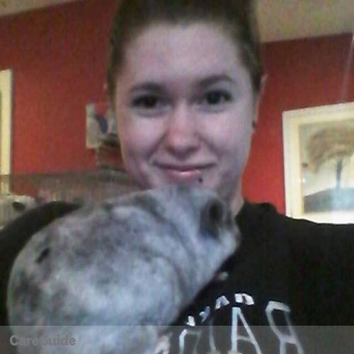 Pet Care Provider Allana P's Profile Picture