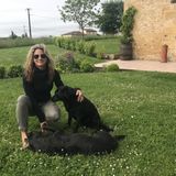 Reliable Housesitter Available Immediately