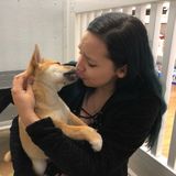 Love taking care of animals I have my own sitting business called Brianna's Fur Babies Pet Services;so I have good experience
