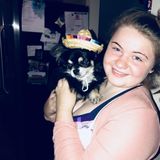 Dog Sitter for Hire