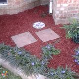 Full service lawn care and landscaping company open year round