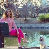 Antelope Pet Service Provider Interested In Job Opportunities in California