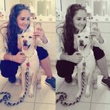 I am willing to provide the love and attention needed to your furry loved ones when needed