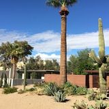landscaping & Maintenance