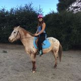 Hard working animal lover