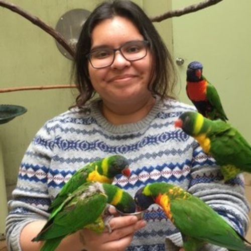 Pet Care Provider Tiffany M's Profile Picture