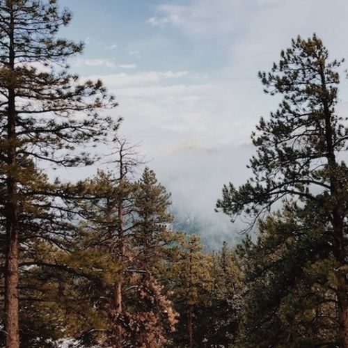 Videographer Provider Dylan Marcus S's Profile Picture