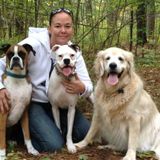 Pet Sitting Offered in Milton