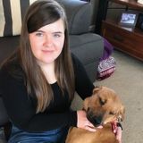 College student looking for part time work