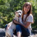 Walker/Sitter for Dogs and Cats in Milpitas, California