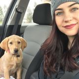 Looking for a caring animal lover to care for your pet? Look no further! I love everything from kittens to reptiles!