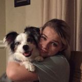 Honest Pet Sitting Available Now!